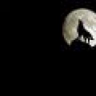 wolf.moon