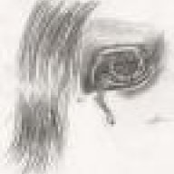 Crying Horse