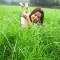 Giangphung