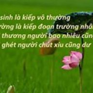 hoangvanninh