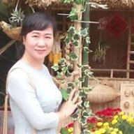 kimthuan