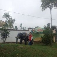 Quý Hợi