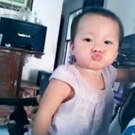 nguyenanh231