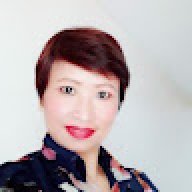 tiếng việt ( việt nam )